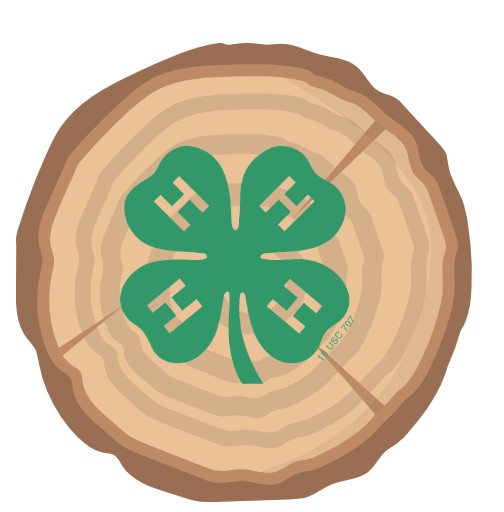 4-H Woodworking Club 