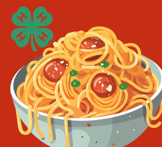 bowl of spaghetti