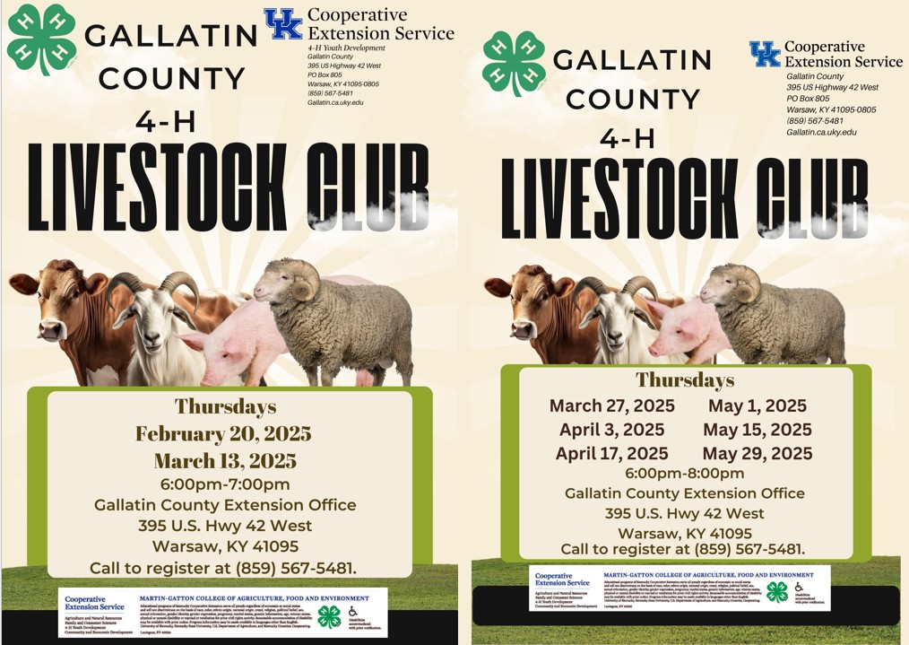 4-H Livestock Flyer 2025