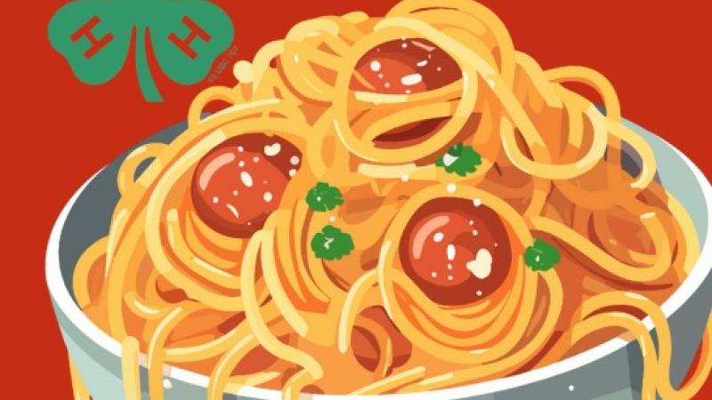 bowl of spaghetti